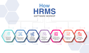 How HRMS Software Works webp