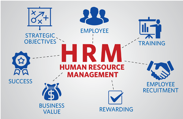 Human resource management system